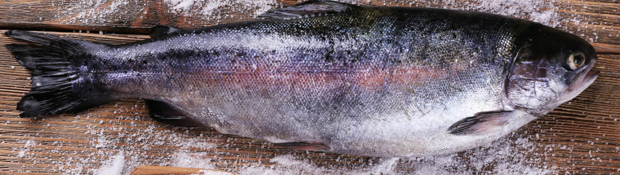 soolatudkala